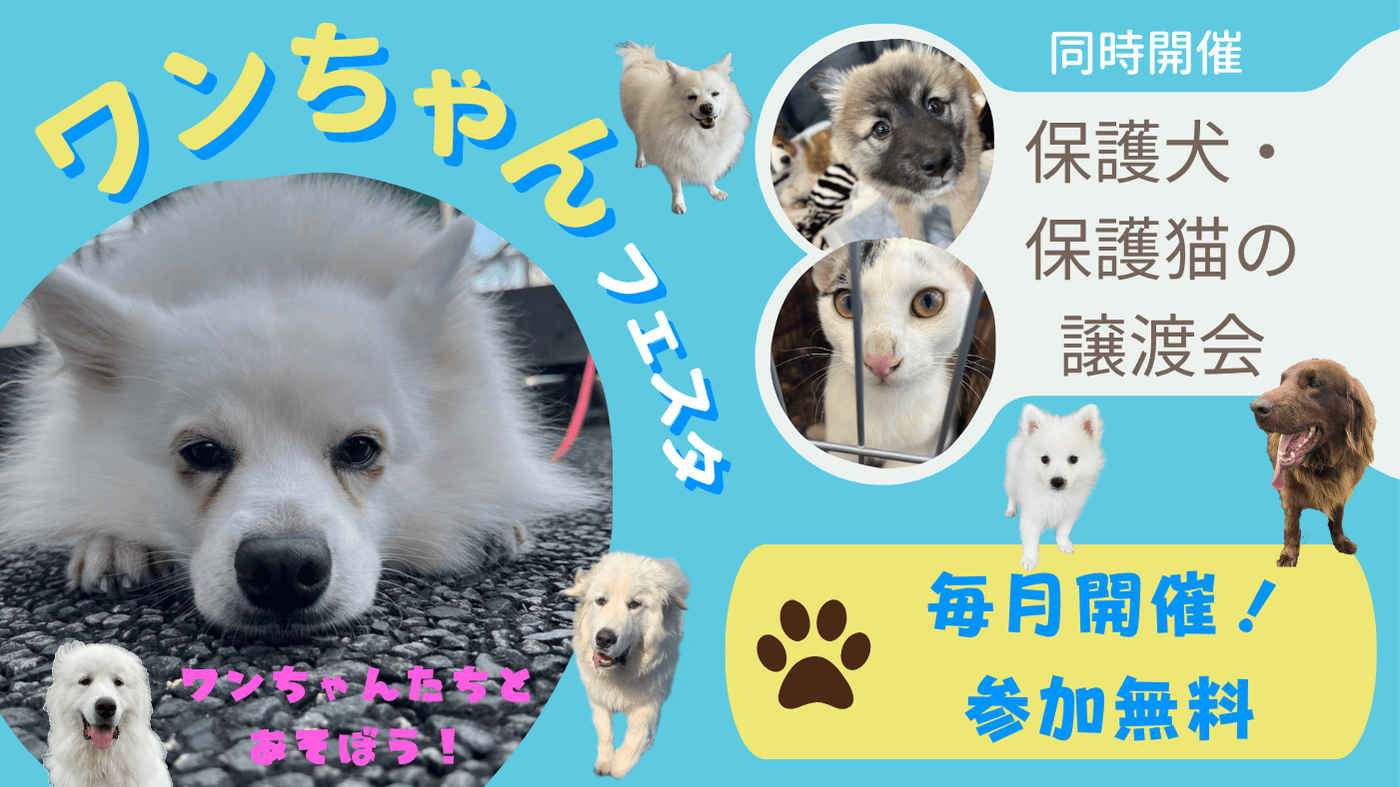 ワンちゃんフェスタ